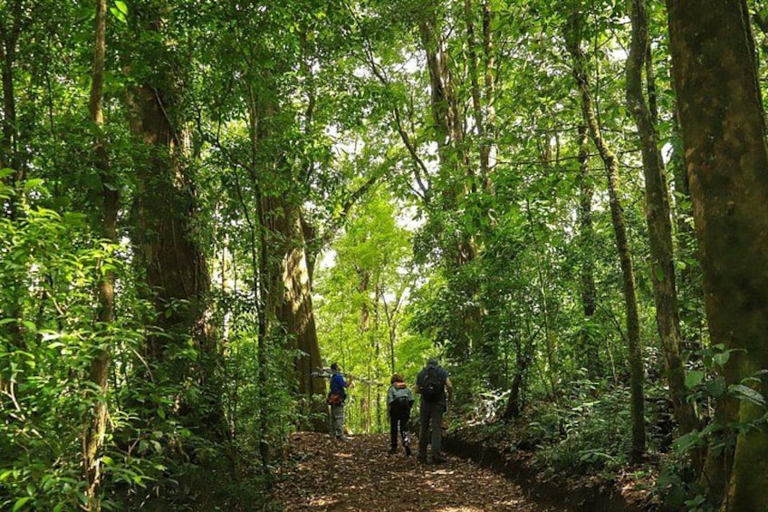 Hiking to Curi-Cancha Reserve 2
