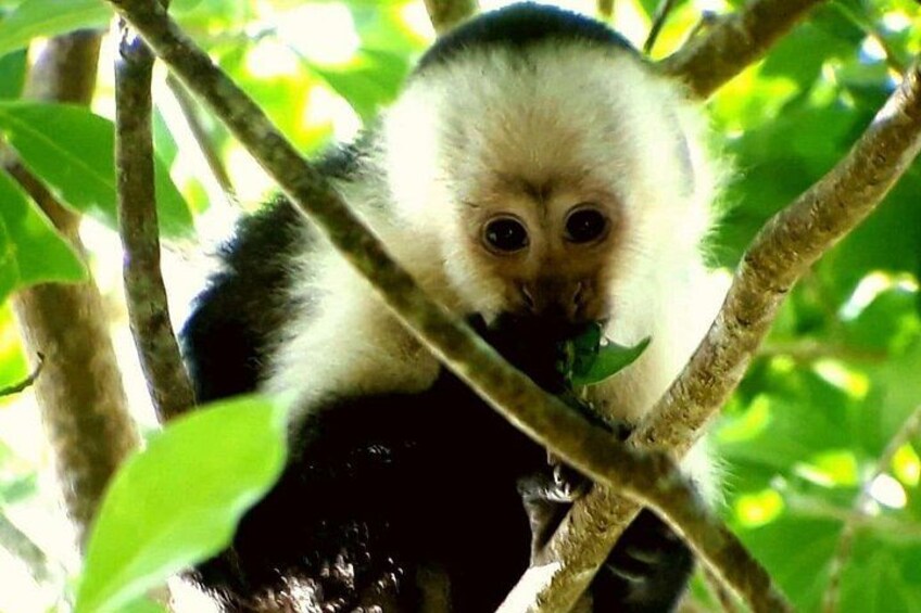 Hiking to Curi-Cancha Reserve 4