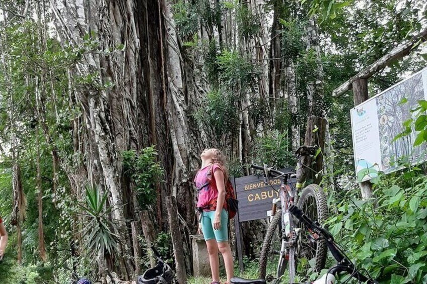 Jungle Mountain Bike Adventures