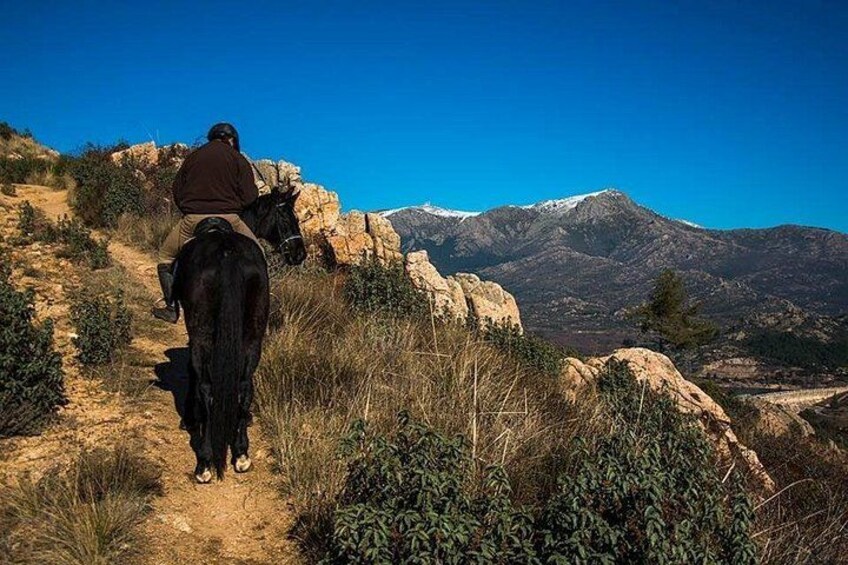 Une personne à cheval sur un sentier de terre, avec un terrain rocailleux et des montagnes en arrière-plan. 4