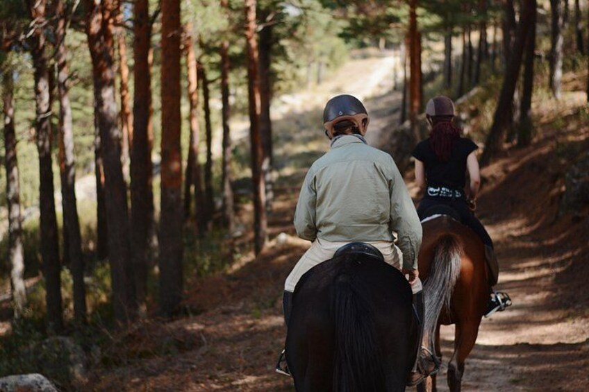 Deux personnes à cheval sur un sentier forestier. 5