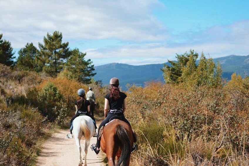 Trois personnes font de l’équitation sur un sentier de terre, entourées de buissons et d’arbres, avec des montagnes en arrière-plan. 3