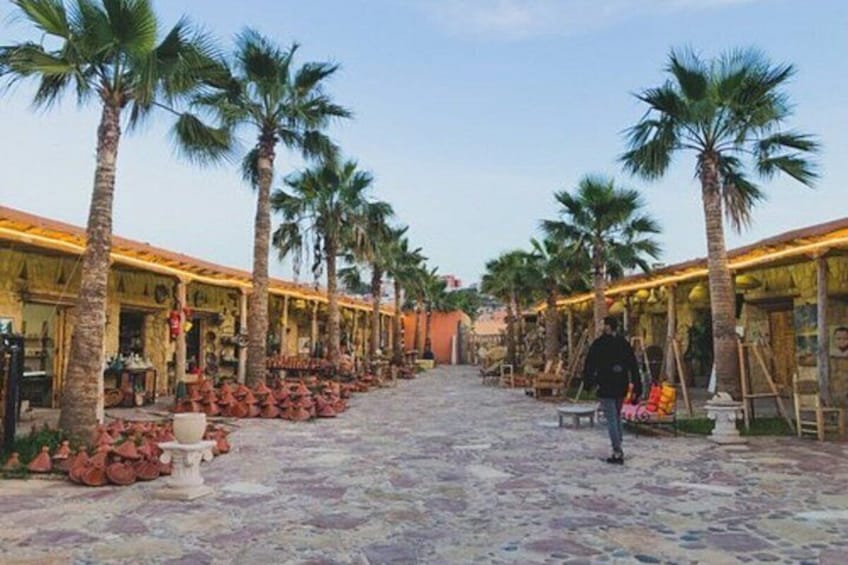 Goats in Trees & Agadir Medina Coco Polizzi ticket and Souk Visit 4