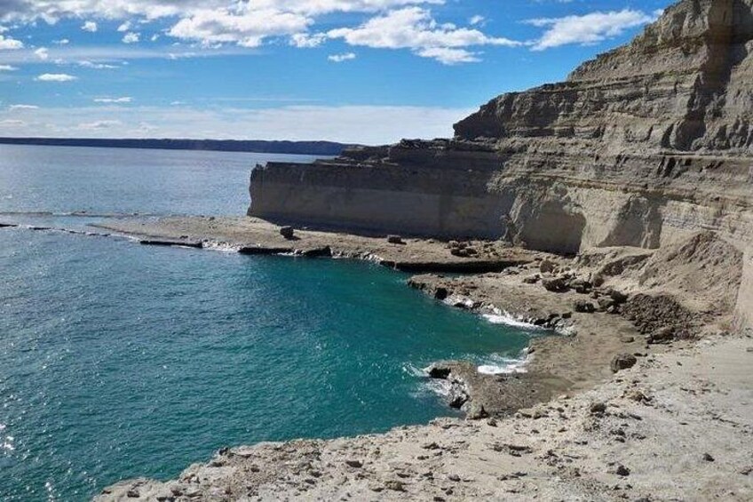 Peninsula Valdes, Full dayTour or Shore Excursion 3