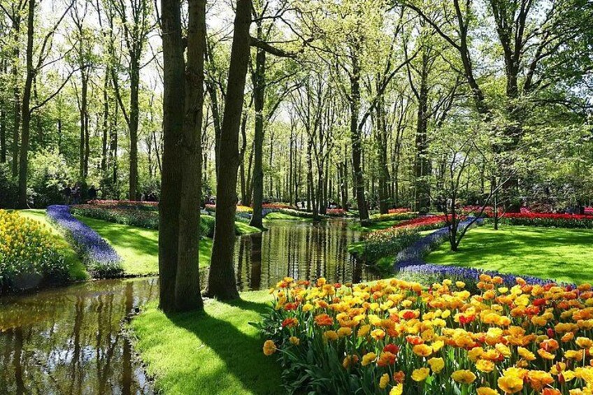 Private tour : Keukenhof Tulips and Delft Tour from Brussels Full day 5