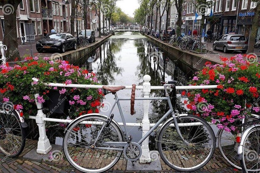 Private tour : Keukenhof Tulips and Delft Tour from Brussels Full day 2
