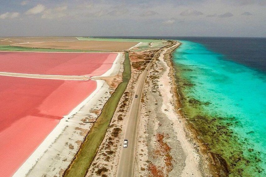 Luchtbeeld van een kustweg met een auto, grenzend aan roze en turquoise zoutvlaktes, en een heldere lucht. 5