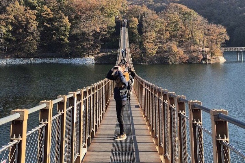 Una persona caminando sobre un puente colgante, sobre un cuerpo de agua, con árboles al fondo. 4
