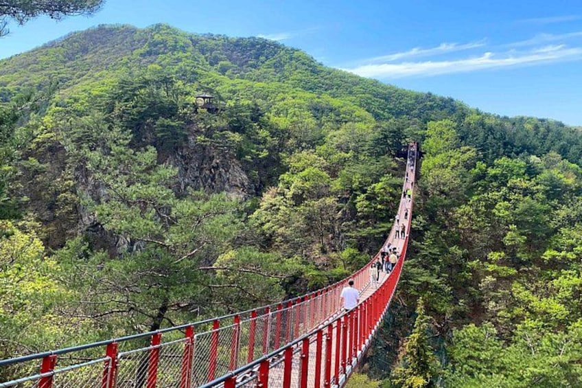 Un puente colgante rojo sobre una montaña boscosa. 5
