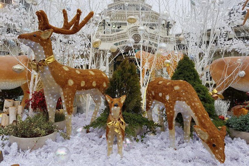 Everland Private Shuttle "Total Private Tour: More Members Less Cost" 4