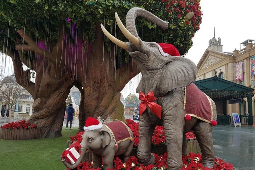 Everland Private Shuttle "Total Private Tour: More Members Less Cost" 2