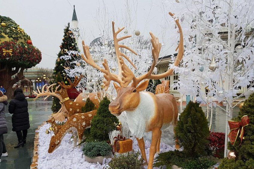 Everland Private Shuttle "Total Private Tour: More Members Less Cost" 5