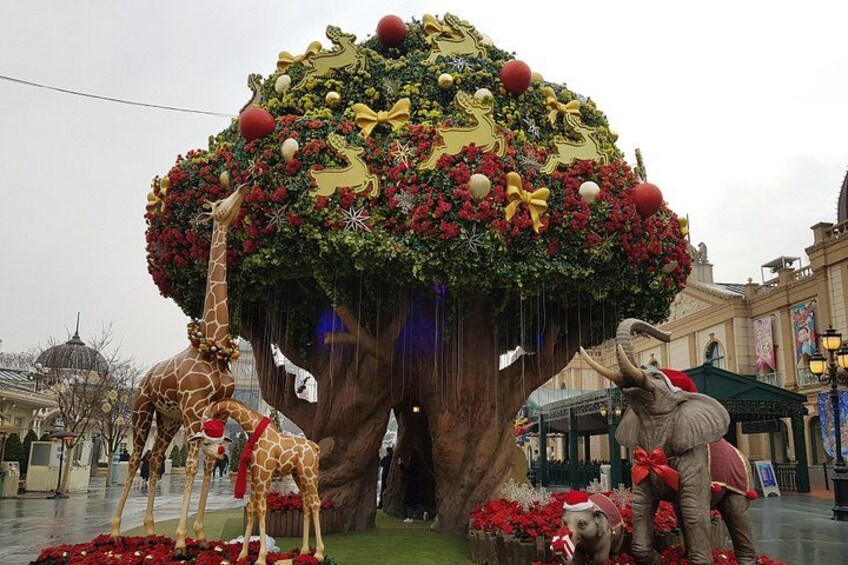 Everland Private Shuttle "Total Private Tour: More Members Less Cost" 3