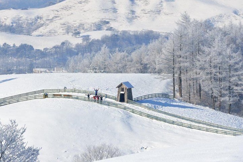 A snow-covered landscape with a wooden structure, a fenced path, and a small bridge. 1