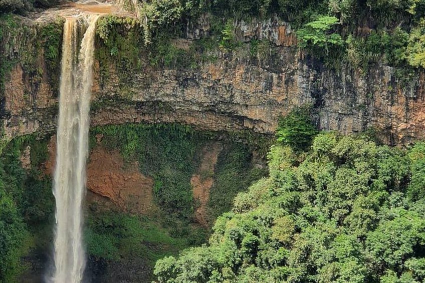 A waterfall cascading down a cliff surrounded by dense green foliage. 5