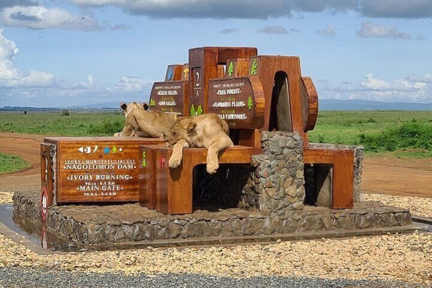 Nairobi national park