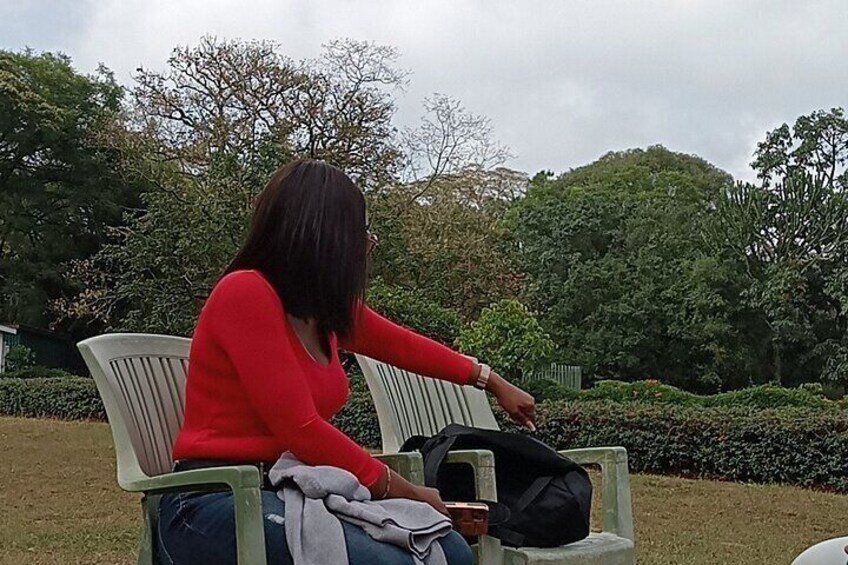 Una persona sentada en un banco en un parque, con árboles y césped al fondo. 5