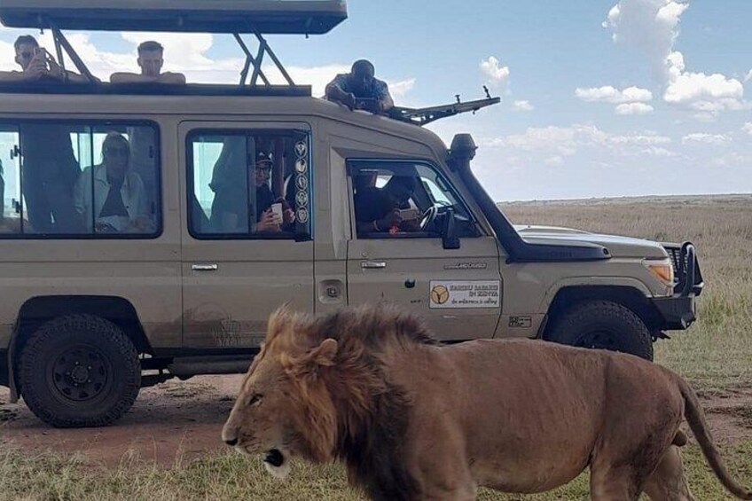 Half Day Nairobi National Park Safari Tour 1