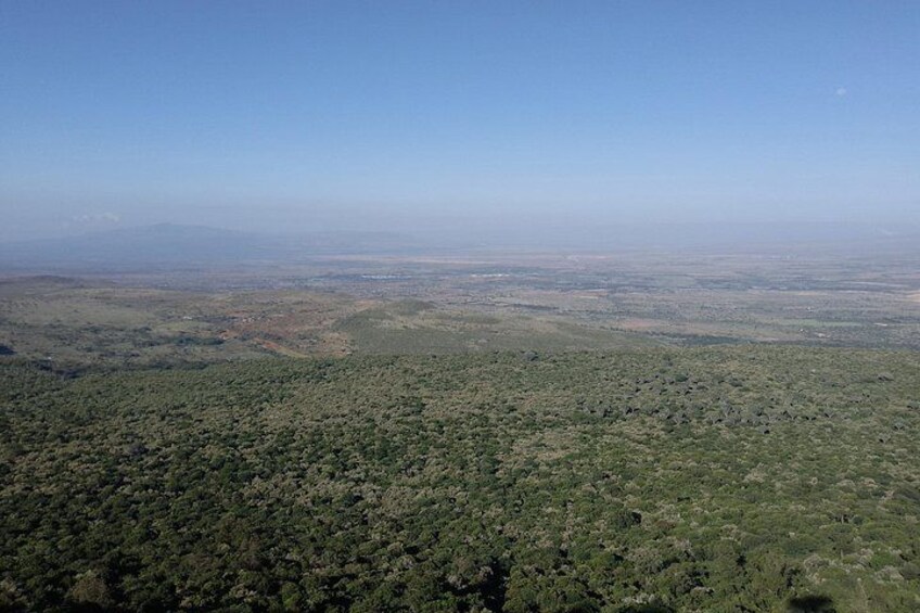 A vast landscape with dense green vegetation, a clear sky, and distant mountains. 2
