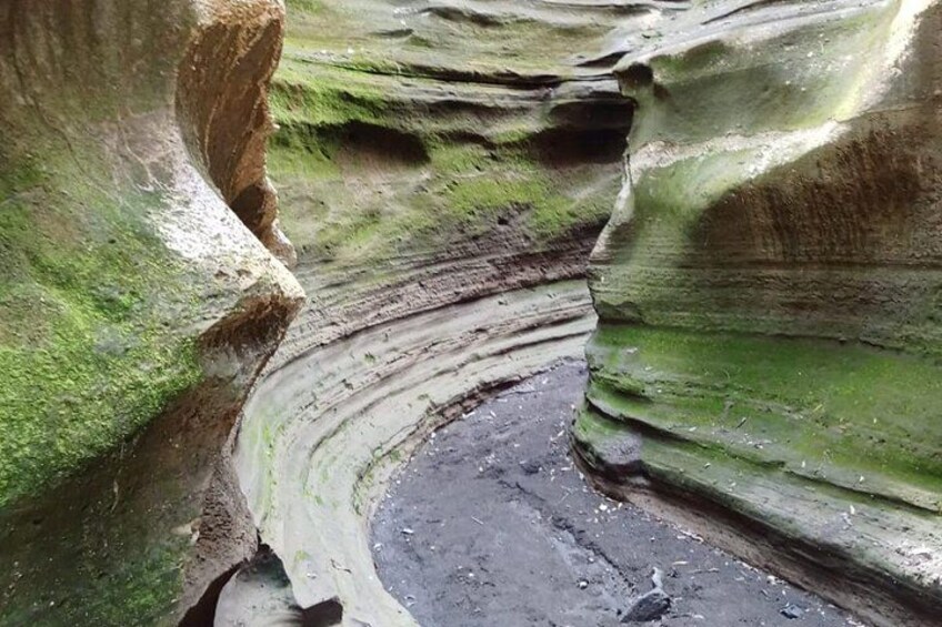 A canyon with layered rock formations and a narrow path. 4