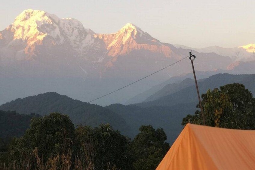 Dhampus Trekking 4