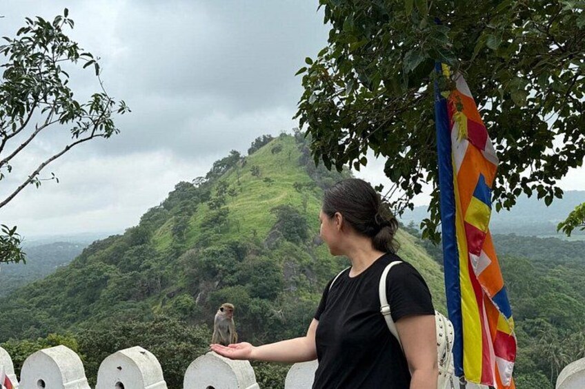 A person holding a monkey on a hill with a flag in the background. 5