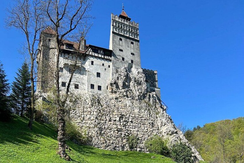 Dracula Castle, Peles Castle & Brasov-Private Tour from Bucharest 2