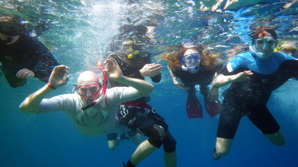 people swimming in egypt