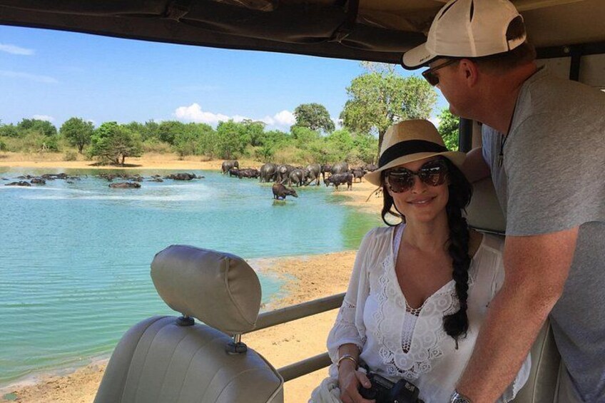 From Ella - Udawalawe Safari & Transfer to Other Locations 5