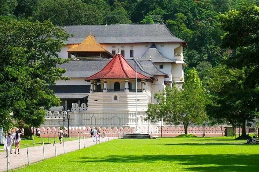 Un château avec un toit rouge, entouré d’un parc verdoyant et d’arbres. 3
