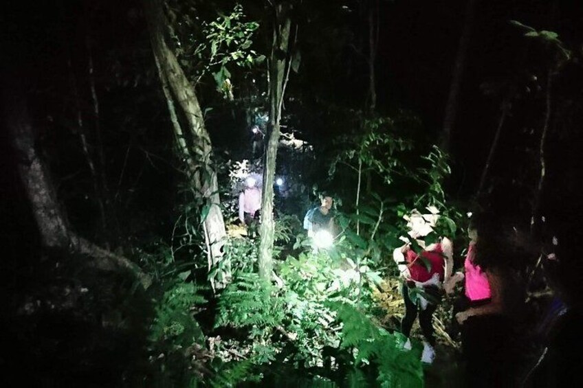 Night hike 2