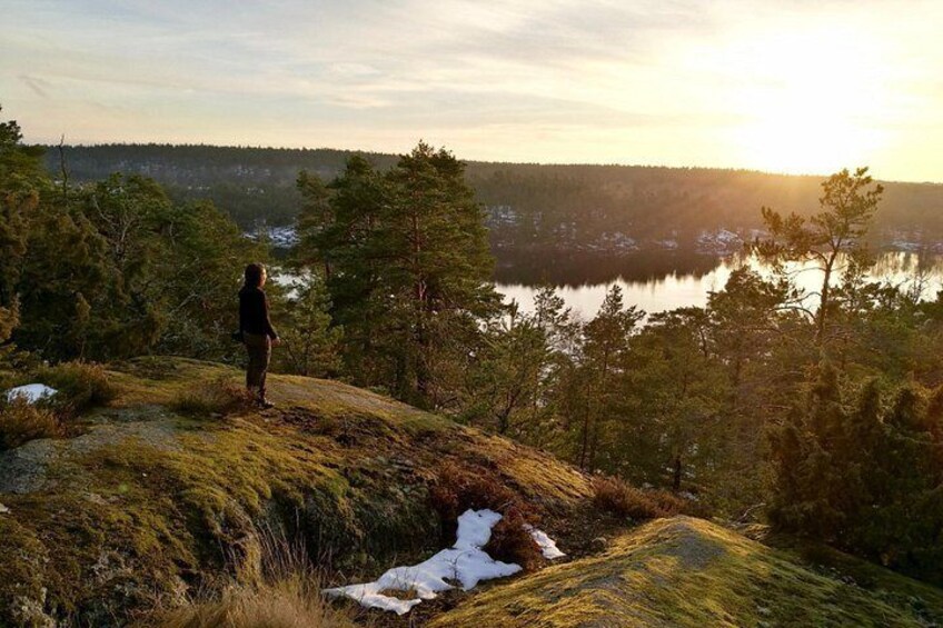 Stockholm Nature Hiking - Summer - True Nature Sweden 3