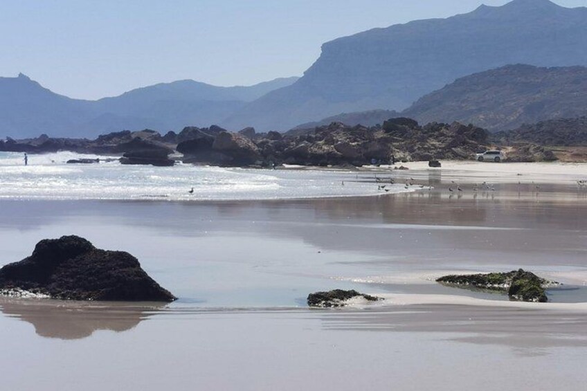 Explore West Salalah’s Stunning Natural Scenery - a Full-Day Tour 5