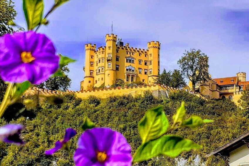 Eine Burg mit Türmen, umgeben von Grünpflanzen und violetten Blumen. 3
