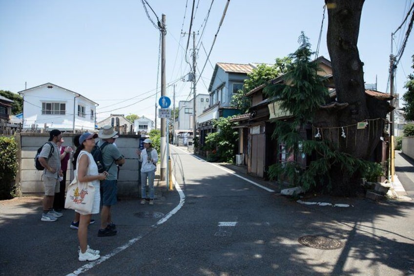 The Old Quarter of Tokyo - Yanaka Walking Tour 4