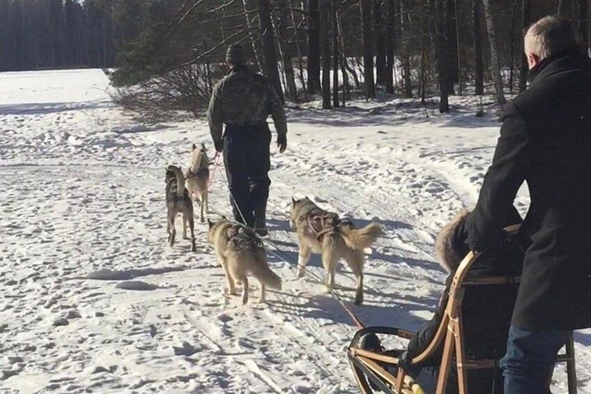 A person leading husky dogs on a snowy trail. 3