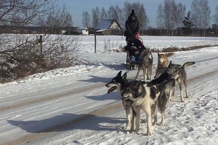 A snowy road with a person riding a sled pulled by four dogs. 2