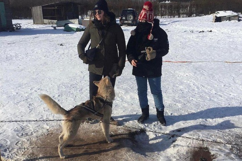 A person with a dog on a leash in a snowy outdoor setting. 3