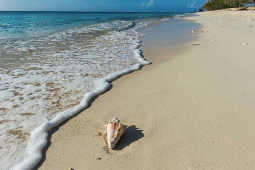 Day At The Beach With Lunch And Drinks for Cruise Guests 4