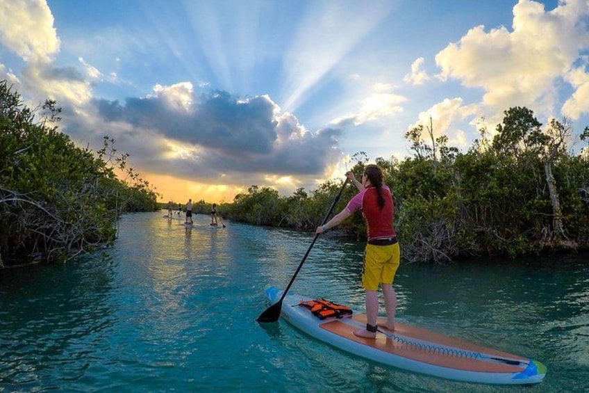 A person paddleboarding on a calm river surrounded by mangroves. 1