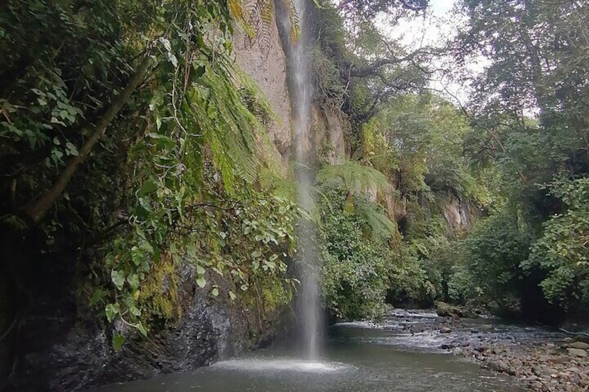 Een waterval in een bebost gebied met weelderige begroeiing en een rotsachtige beek. 1