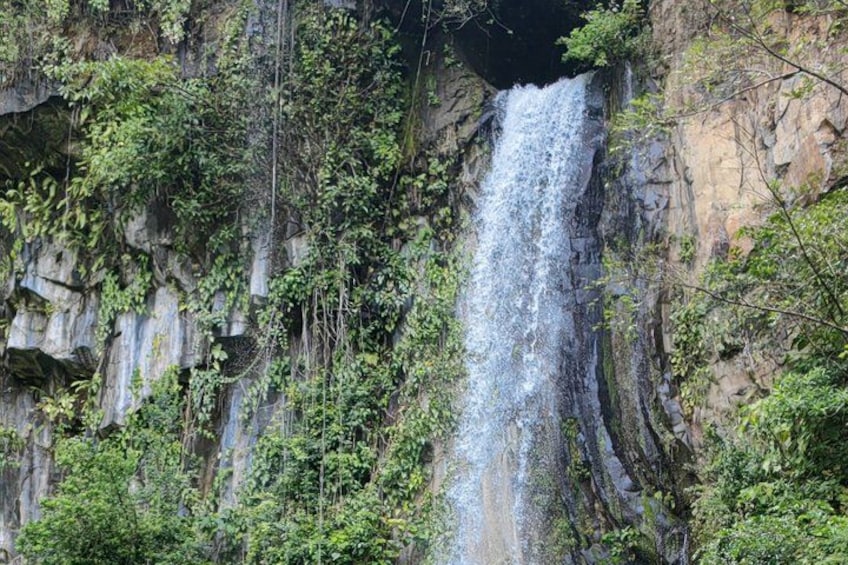 A waterfall cascading down a rocky cliff surrounded by dense greenery. 2