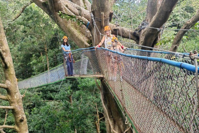 A rope bridge in a forest with trees and greenery. 4