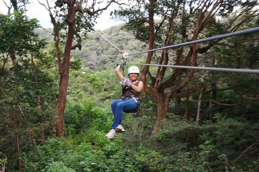 A person zip-lining through a forest. 1