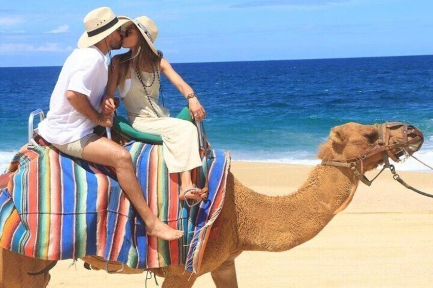 Una pareja montada en un camello con una manta a rayas, sentada en una playa con el océano al fondo. 5