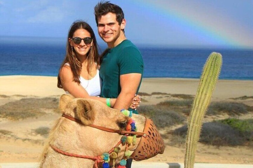 Cabo Camel Encounter and Safari Ride (includes tacos & tequila tasting) 1