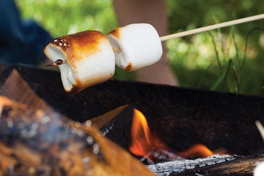 Juneau Gold Creek Salmon Bake 5