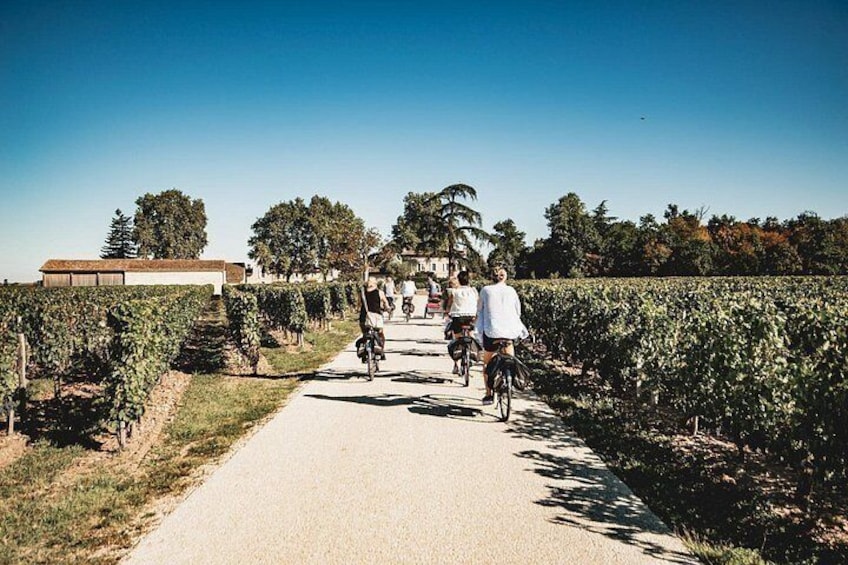 Saint-Emilion Electric Bike Day Tour with Wine Tastings & Lunch 4
