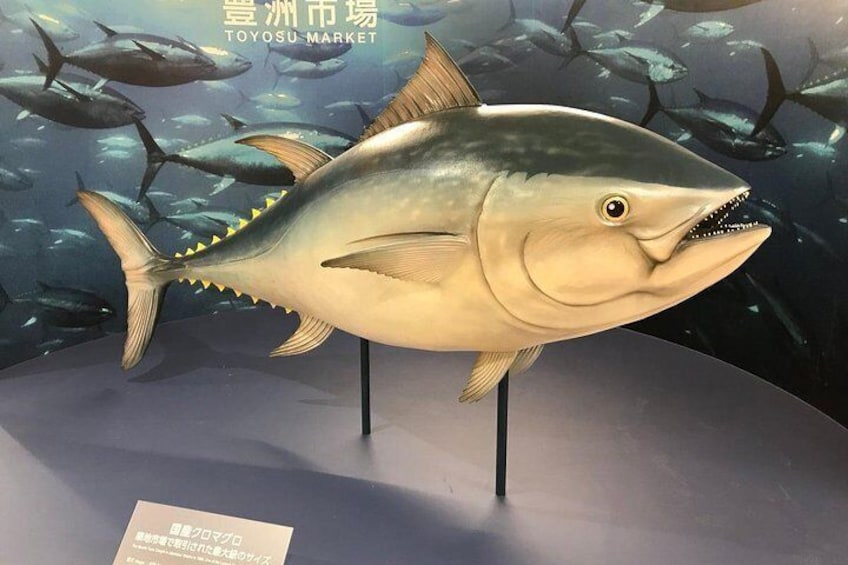 Tsukiji Food and Toyosu Market with Government-Licensed Guide 1