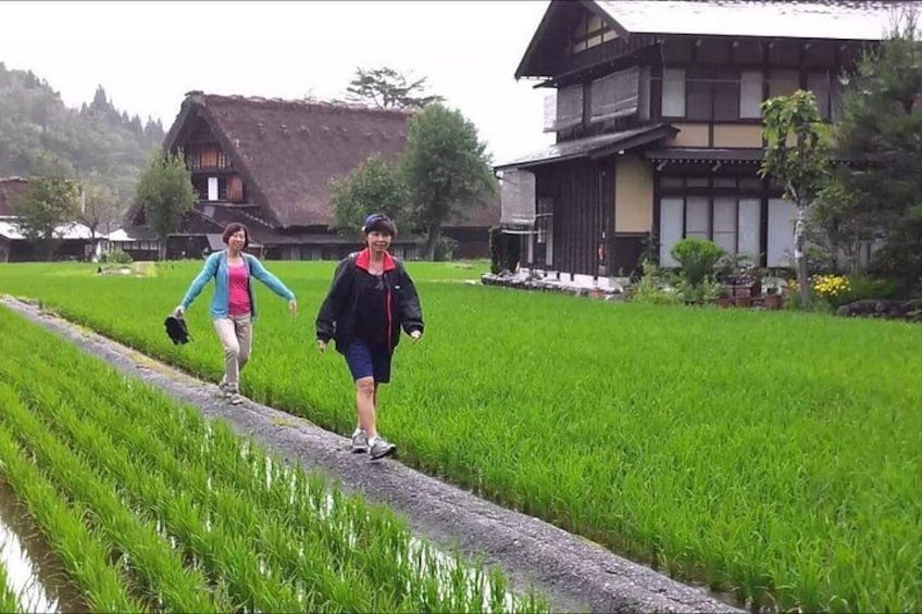 Shirakawa-go from Kanazawa: Private Car & Driver, No Guide 4